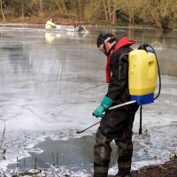 Backpack Spraying Rotenone